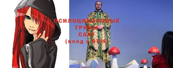 МДПВ Арсеньев