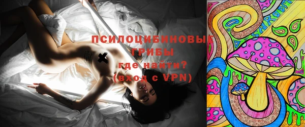 МДПВ Арсеньев