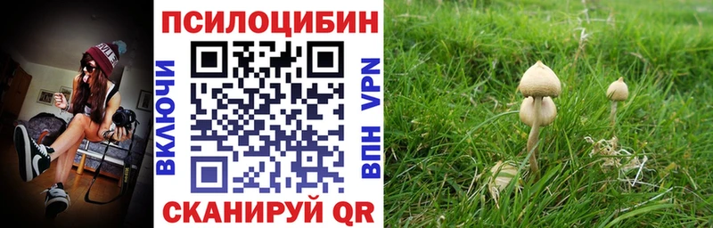 Галлюциногенные грибы GOLDEN TEACHER  ОМГ ОМГ   Онега 